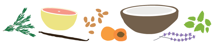 lm illustrated natural ingredients